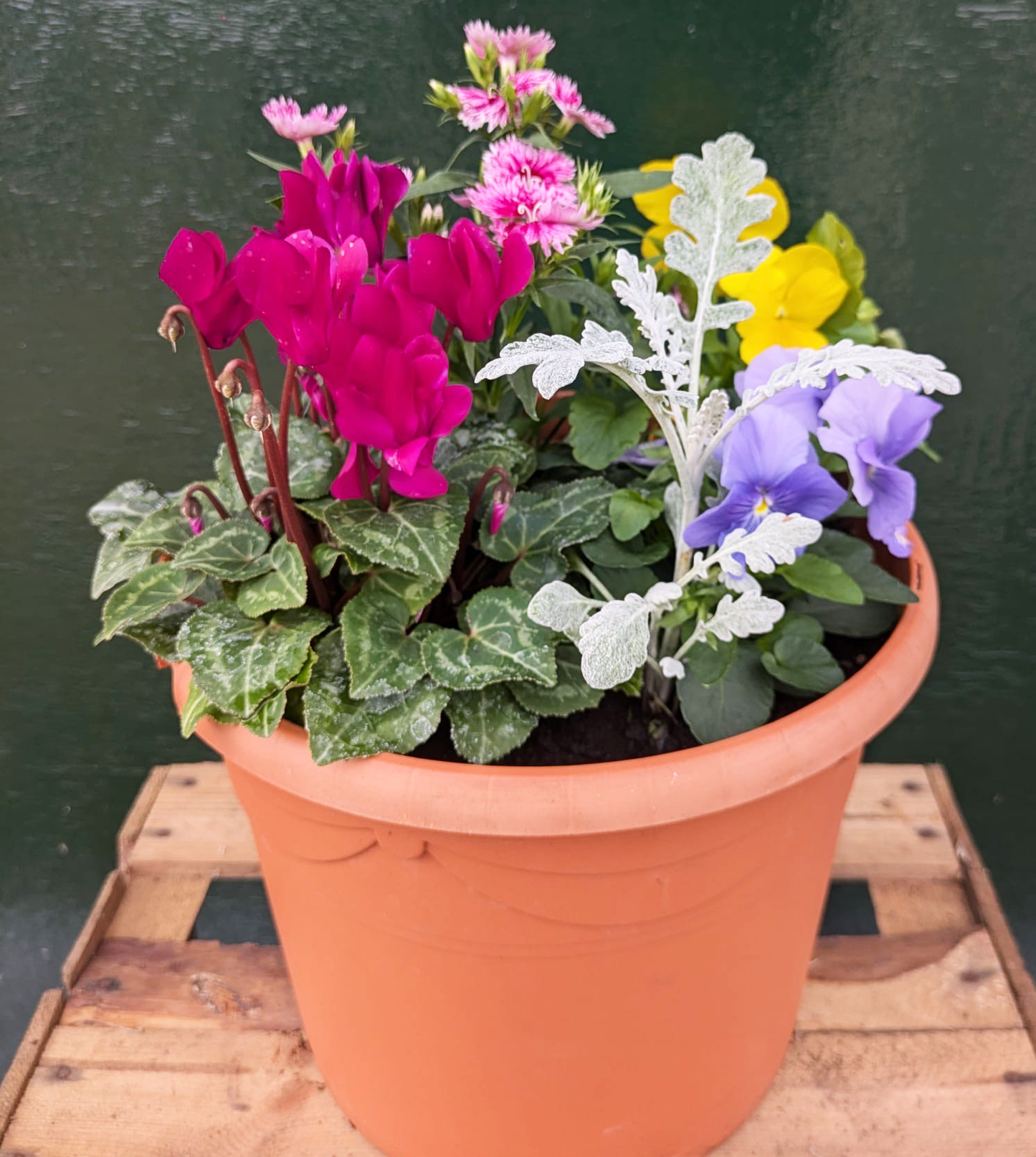 Garden Planter