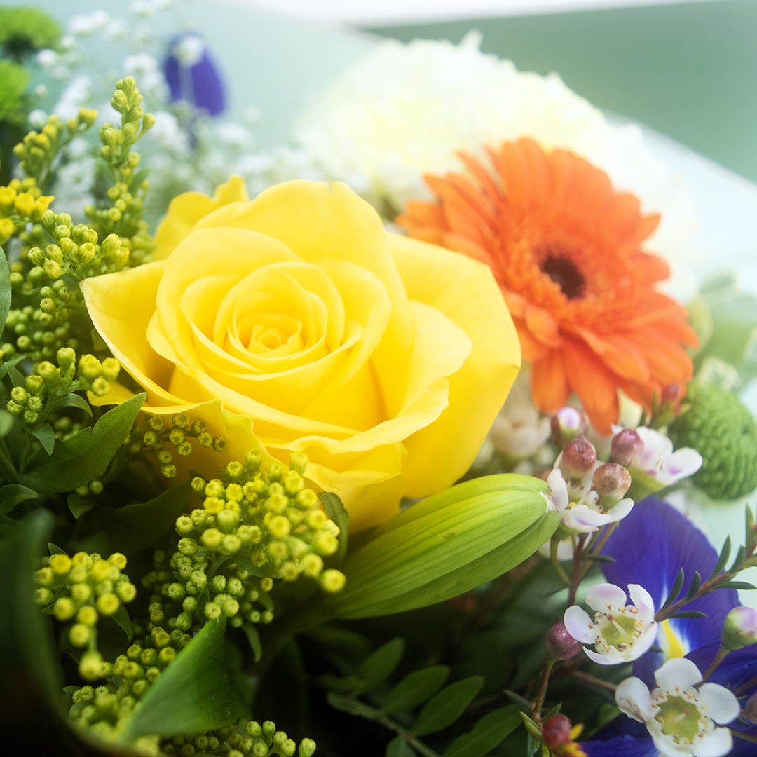 Vibrant Box of Flowers