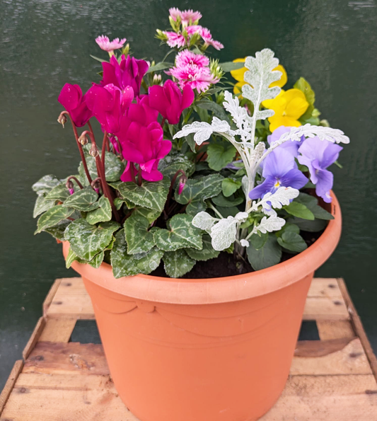Garden Planter