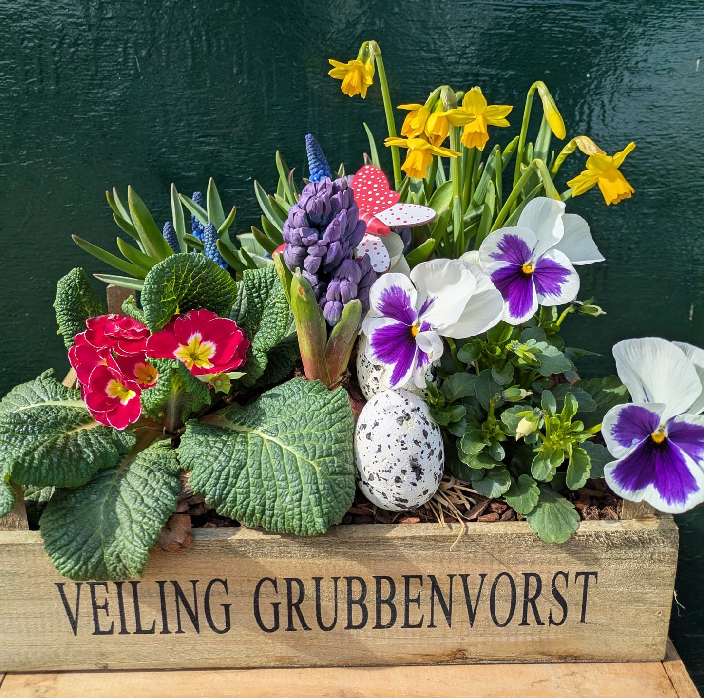 Planter Gifts