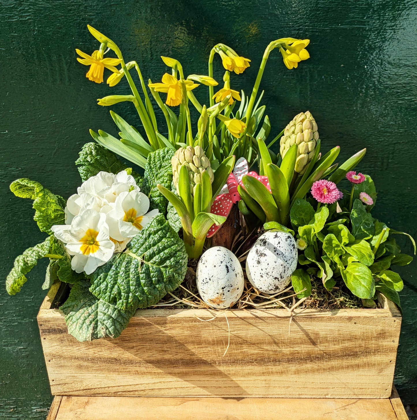 Planter Gifts