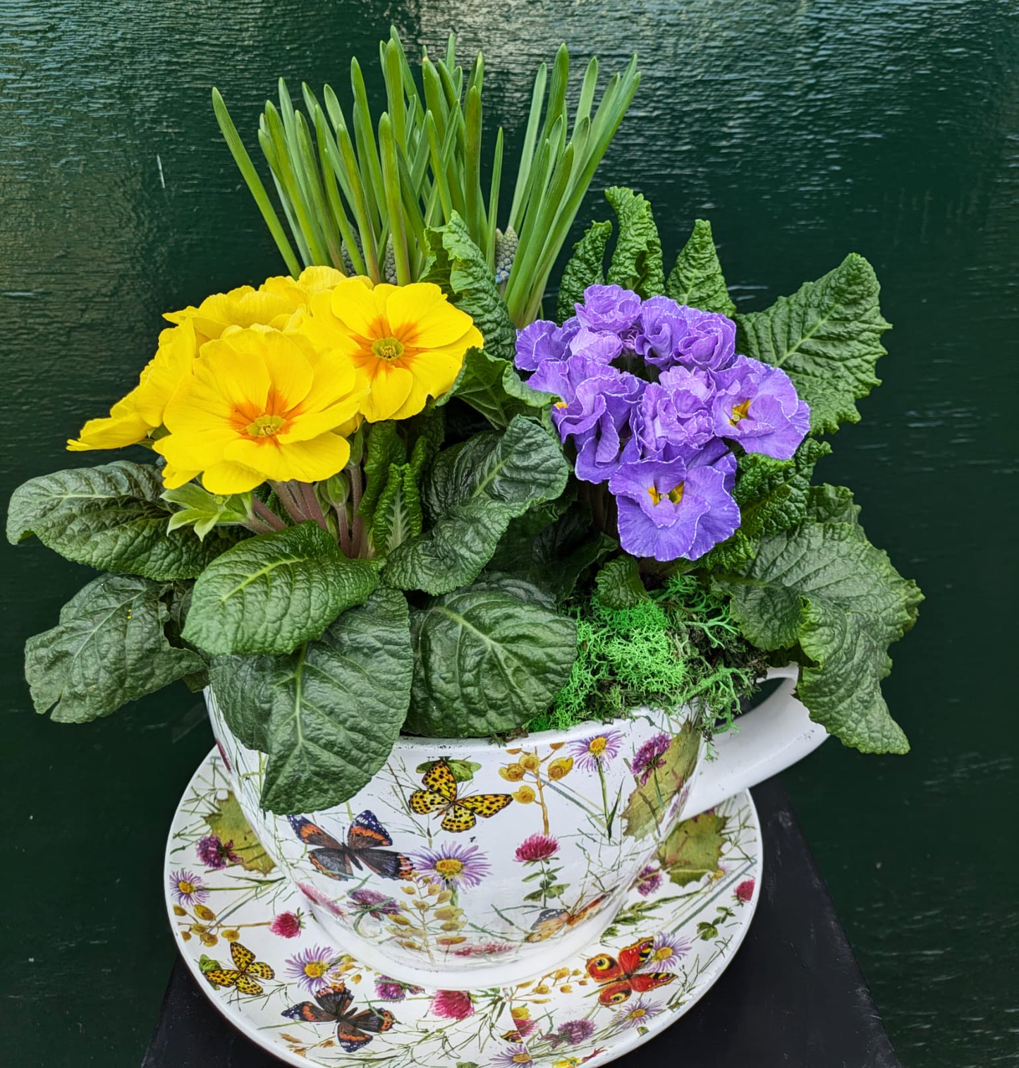 Planter Gifts